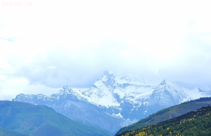 DSC_0370.jpg