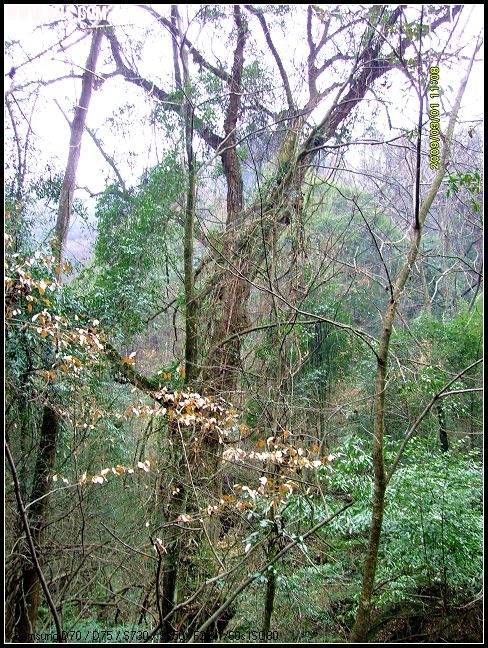 S7300019.JPG