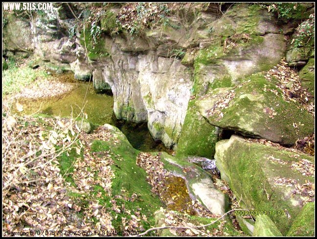 S7300018.JPG