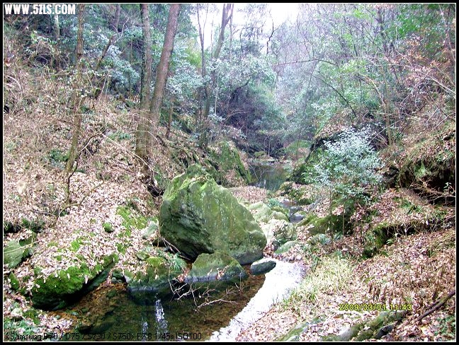 S7300034.JPG