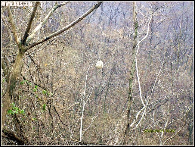 S7300041.JPG