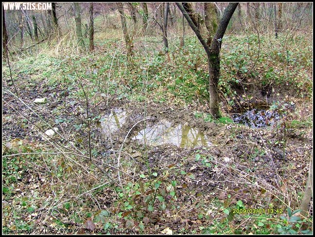 S7300048.JPG