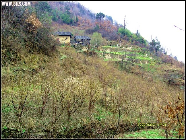 S7300070.JPG
