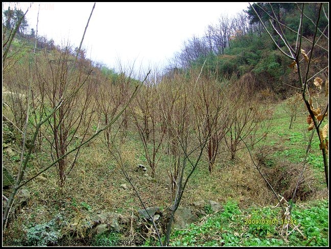 S7300068.JPG