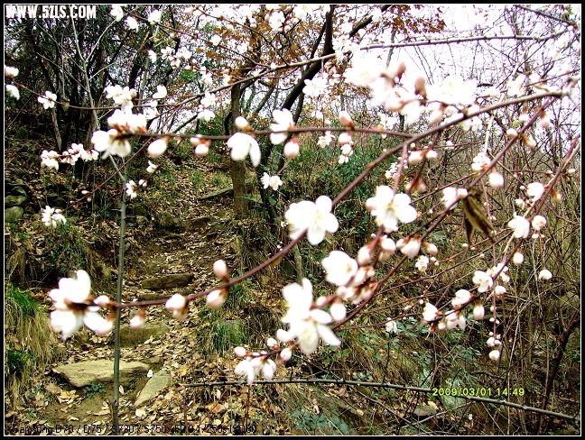 S7300073.JPG