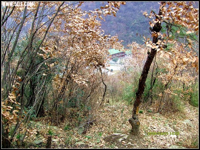 S7300077.JPG