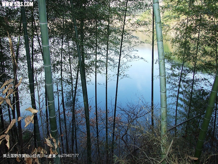 DSCF9014.JPG