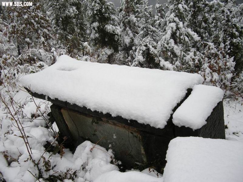 DSCN2635.JPG
