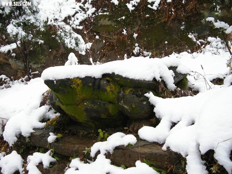 DSCN2630.JPG