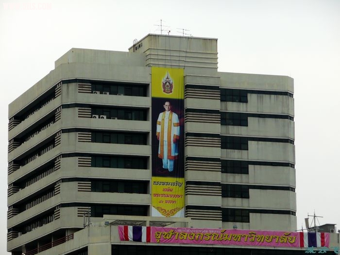 P1100154_Ӱ_1.jpg