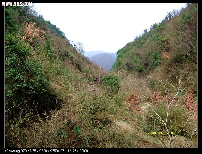 S7300024.JPG