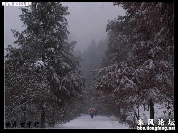 nEO_IMG_100_5713[1].jpg