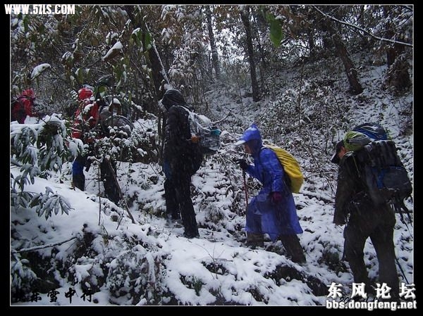 nEO_IMG_100_4679[1].jpg