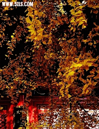 091206164917125b601c2798a2_Ӱ_2.jpg