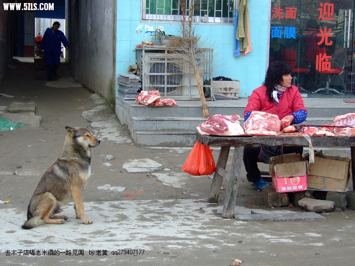 DSCF9172.JPG