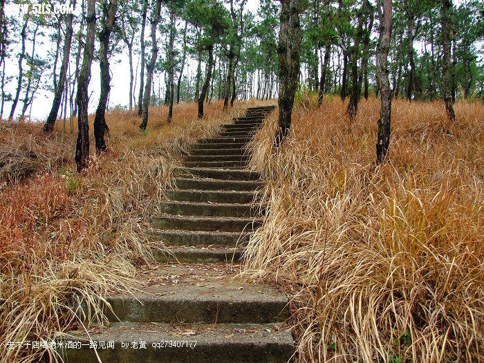 DSCF9226.JPG