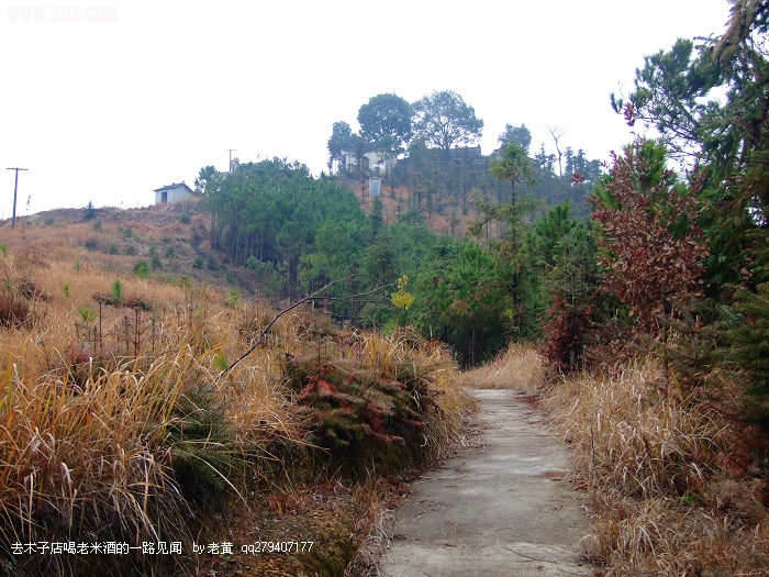 DSCF9232.JPG