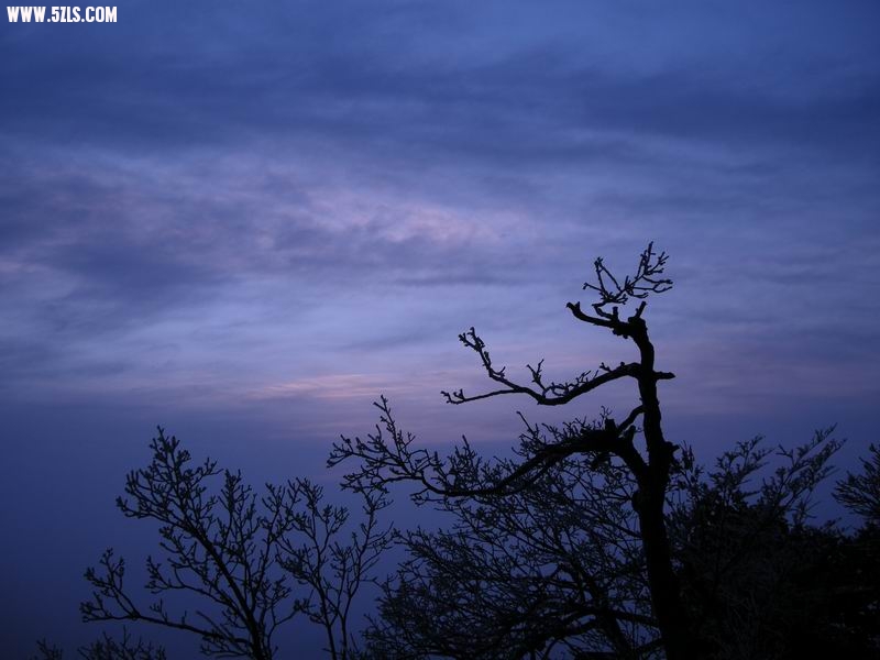 峿 DSCN2953.JPG