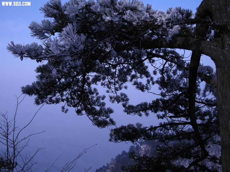 峿1DSCN2991.JPG