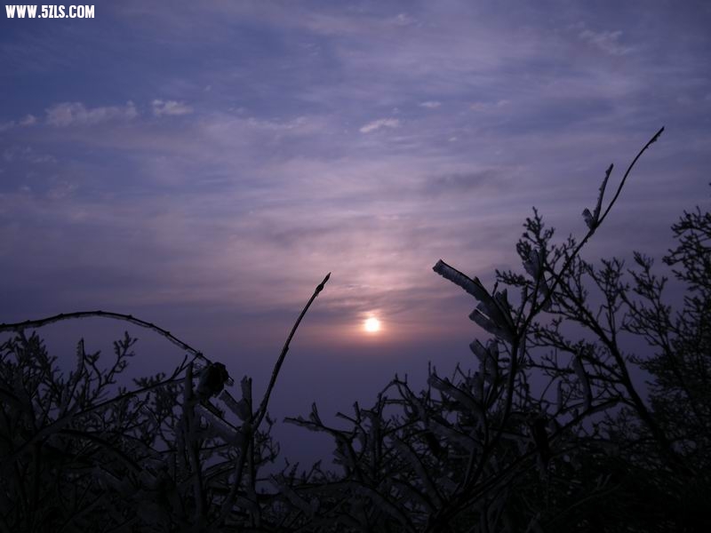 ճ DSCN2982.JPG