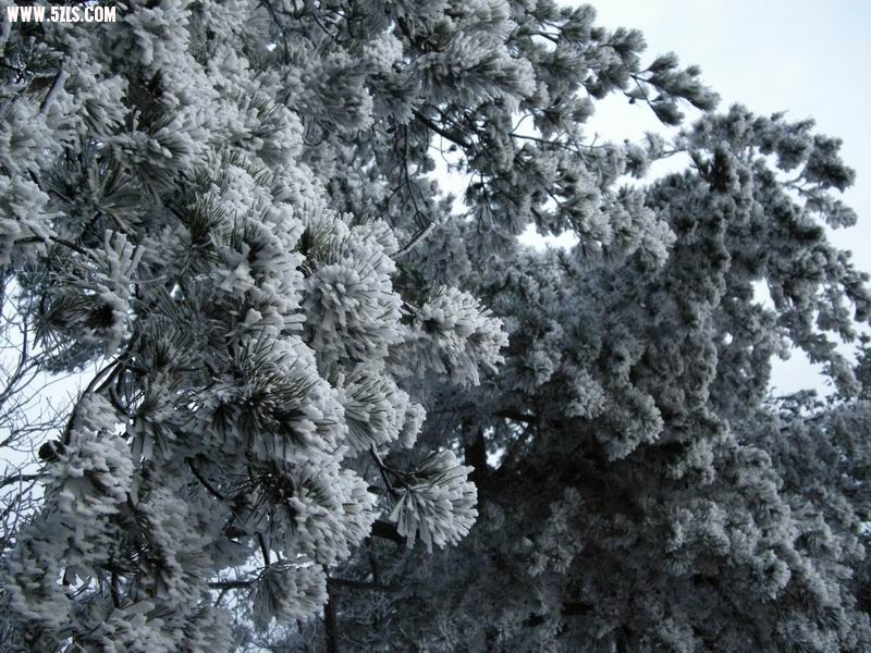 ϵı DSCN2942.JPG