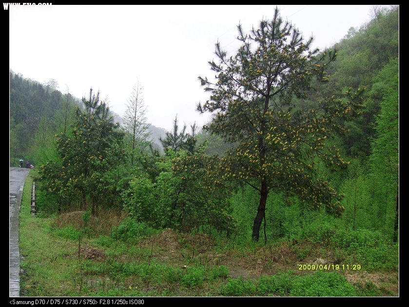 S7300011.JPG