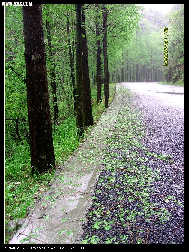 S7300020.JPG