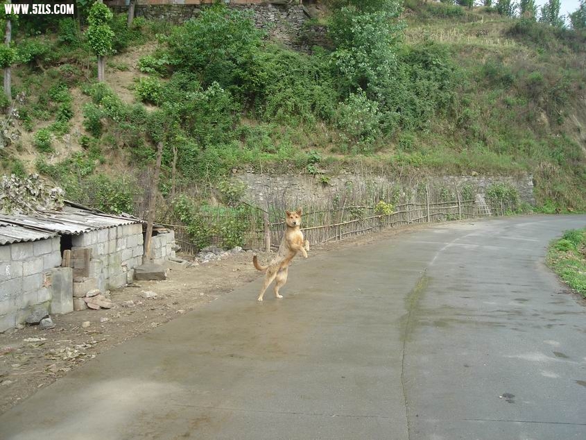 С DSC05316.JPG