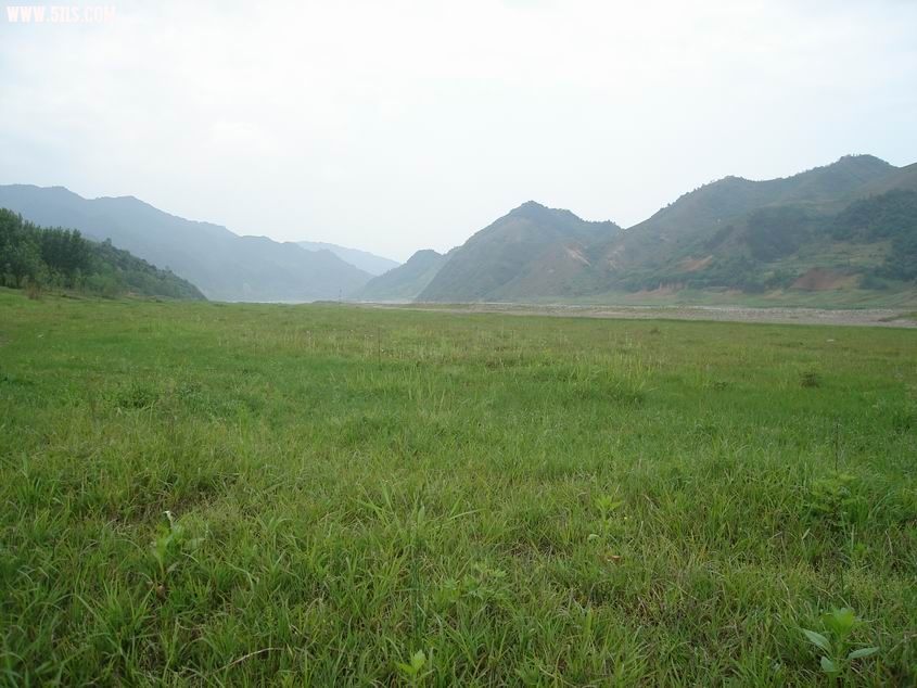 С DSC05358.JPG
