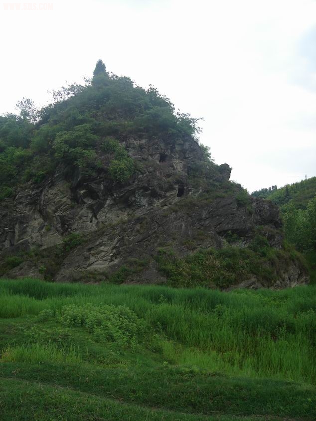 С DSC05345.JPG