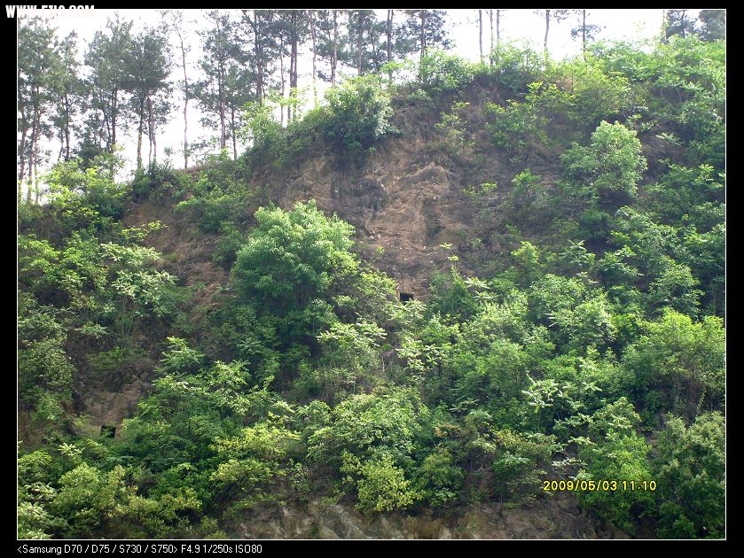 S7300133.JPG