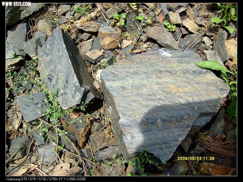 S7300139.JPG