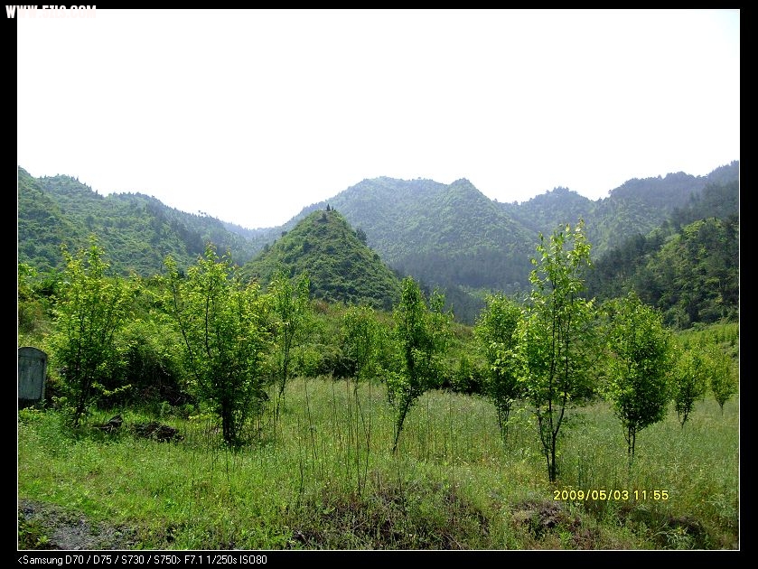 S7300143.JPG