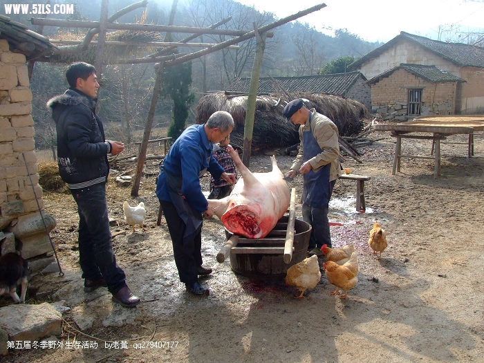 DSCF9376.JPG