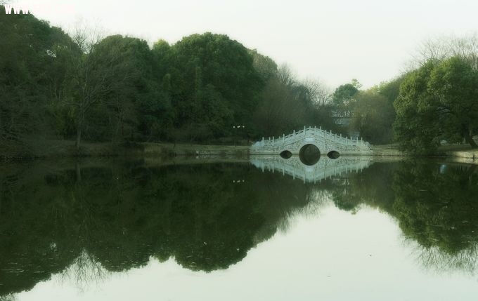  227.jpg
