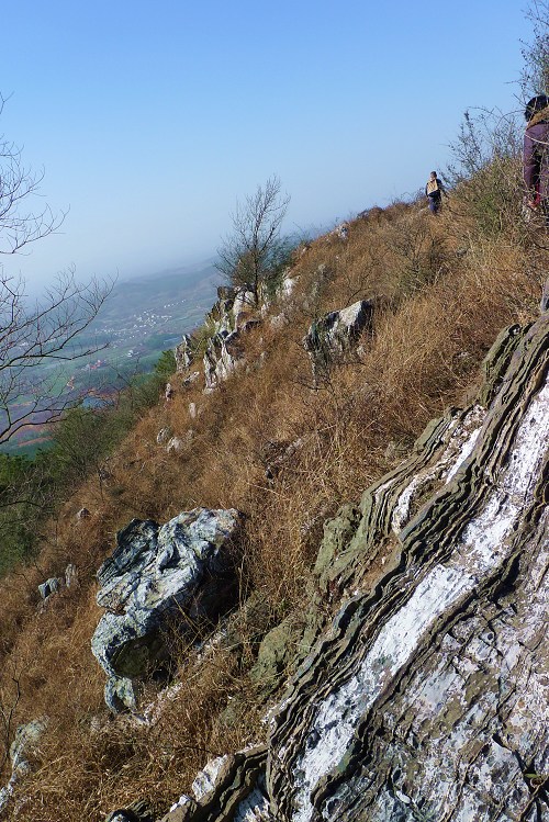 P1080046.jpg