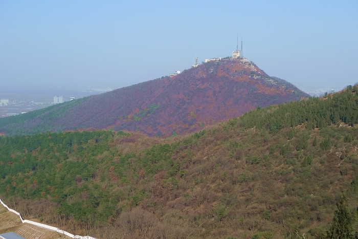 P1080034.jpg