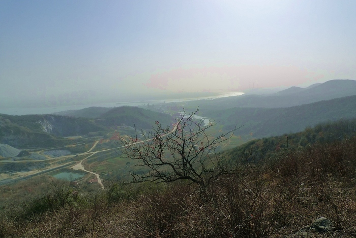 P1080036.jpg