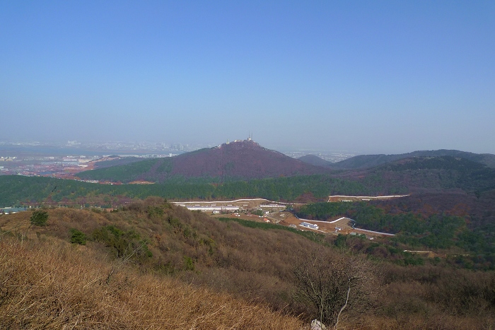 P1080041.jpg
