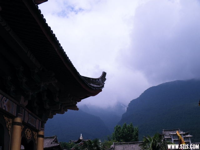 DSCF8451.JPG
