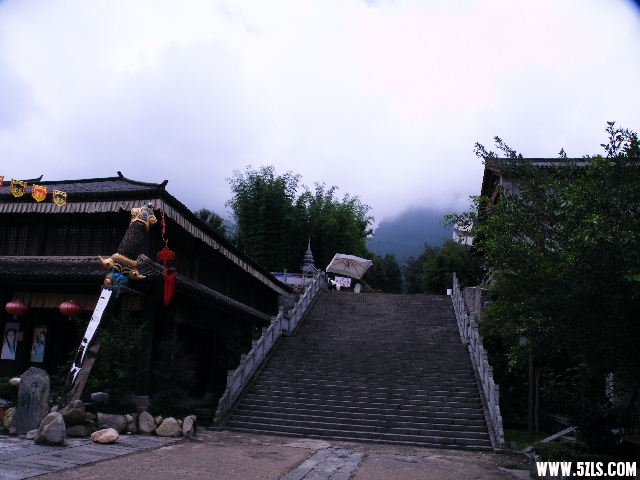 DSCF8441.JPG