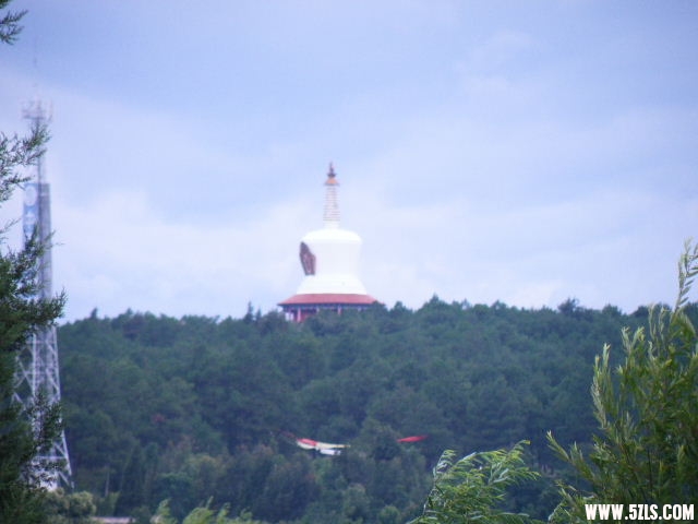 DSCF8592.JPG