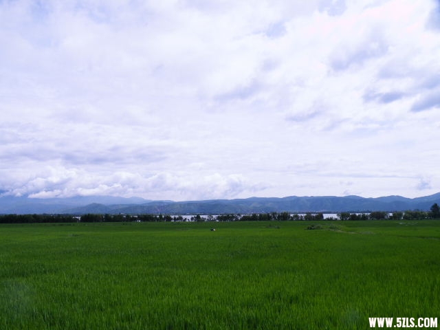 DSCF8563.JPG