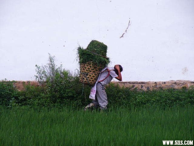 DSCF8572.JPG