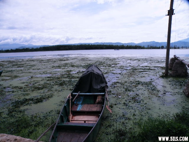 DSCF8581.JPG