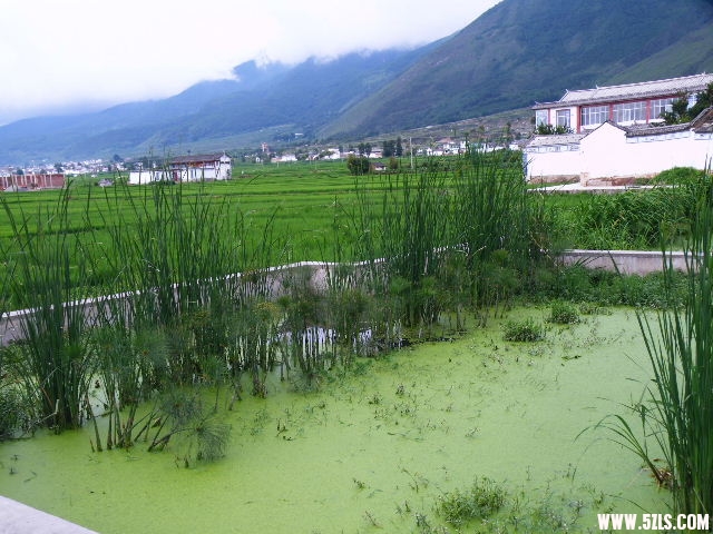 DSCF8574.JPG
