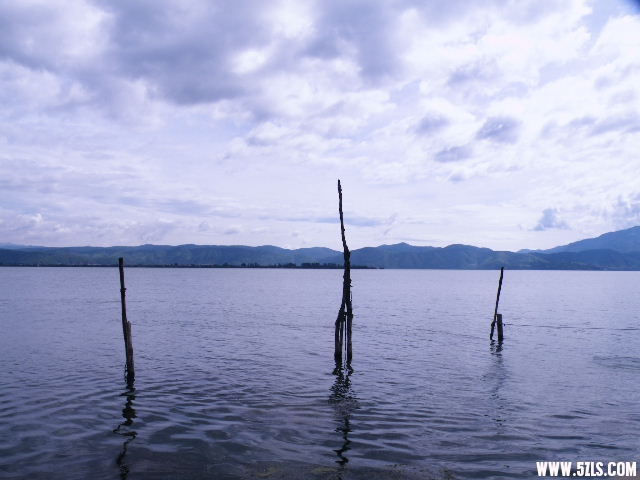 DSCF8546.JPG