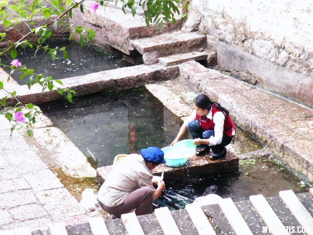 DSCF8607.JPG
