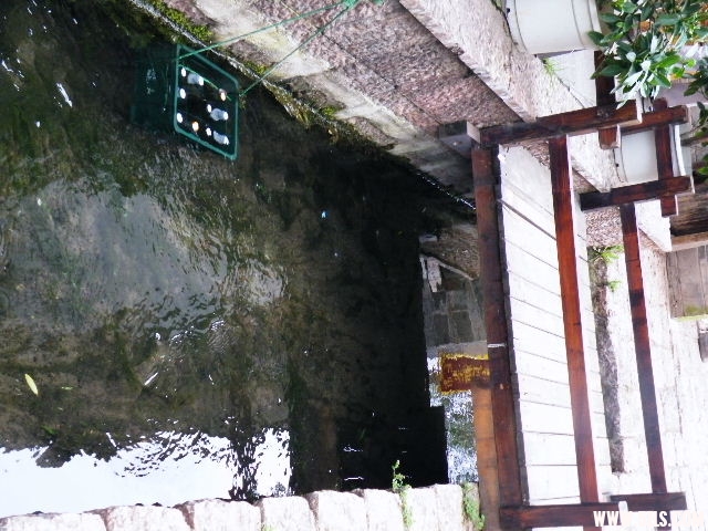 DSCF8636.JPG