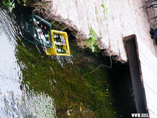 DSCF8640.JPG